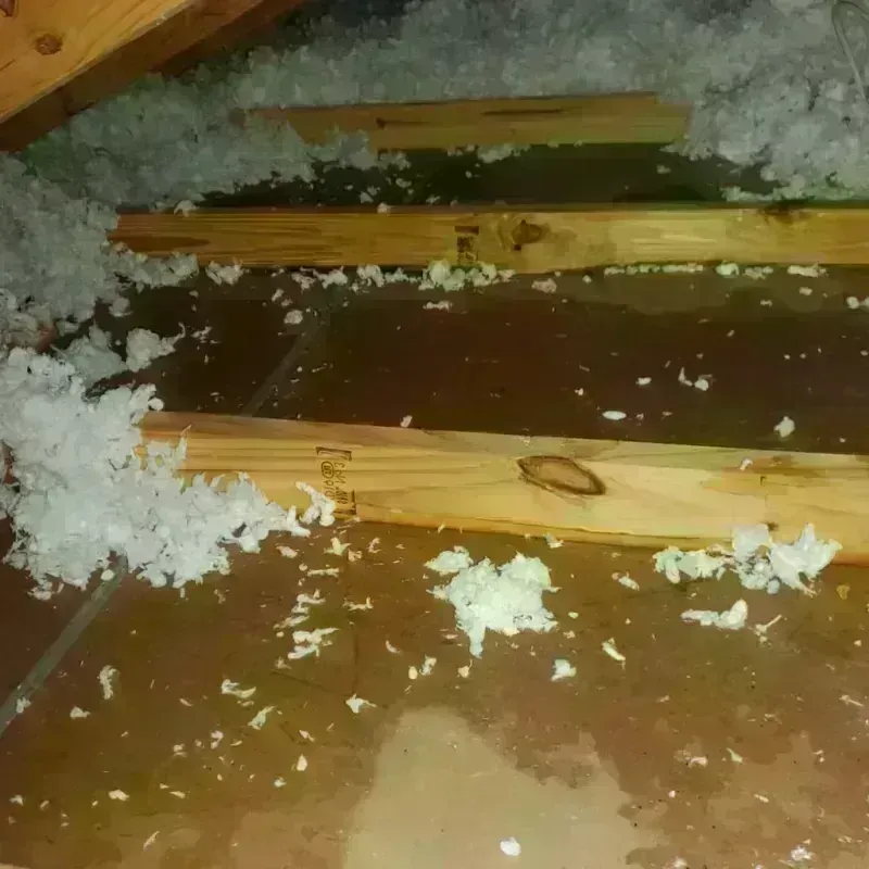 Attic Water Damage in Durham, NC