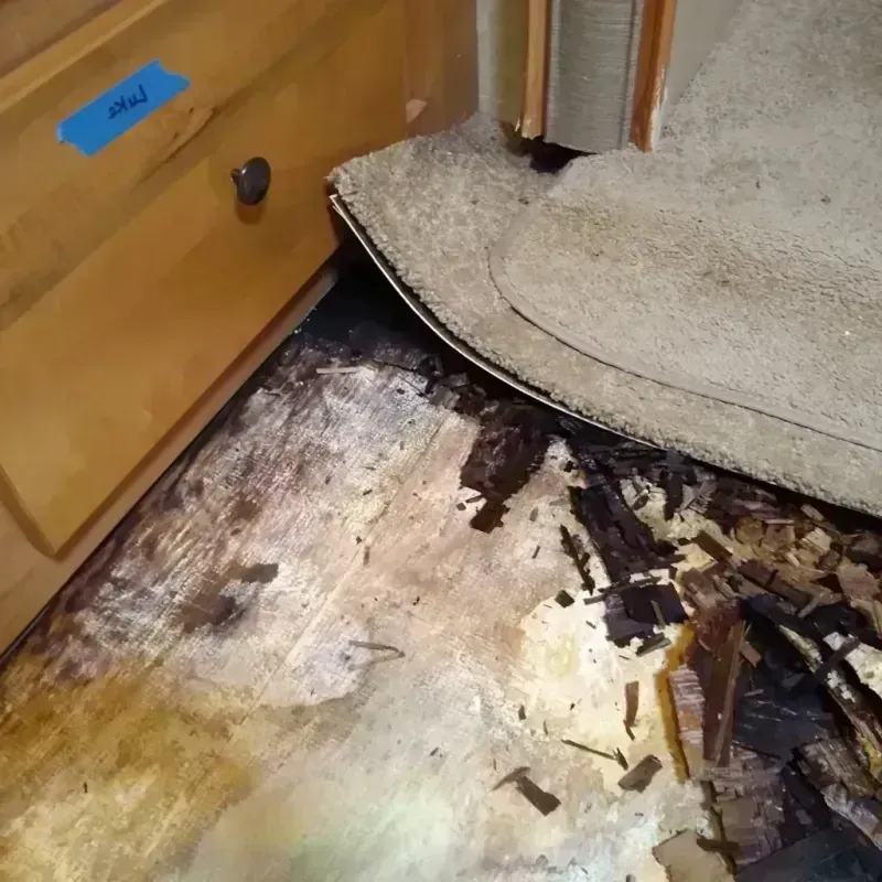 Wood Floor Water Damage in Durham, NC